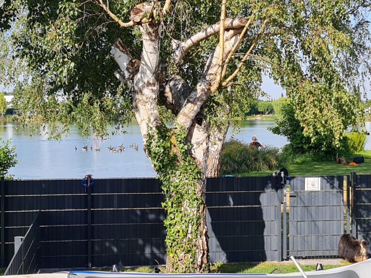 Ferienhaus Am See-2 Hungen المظهر الخارجي الصورة