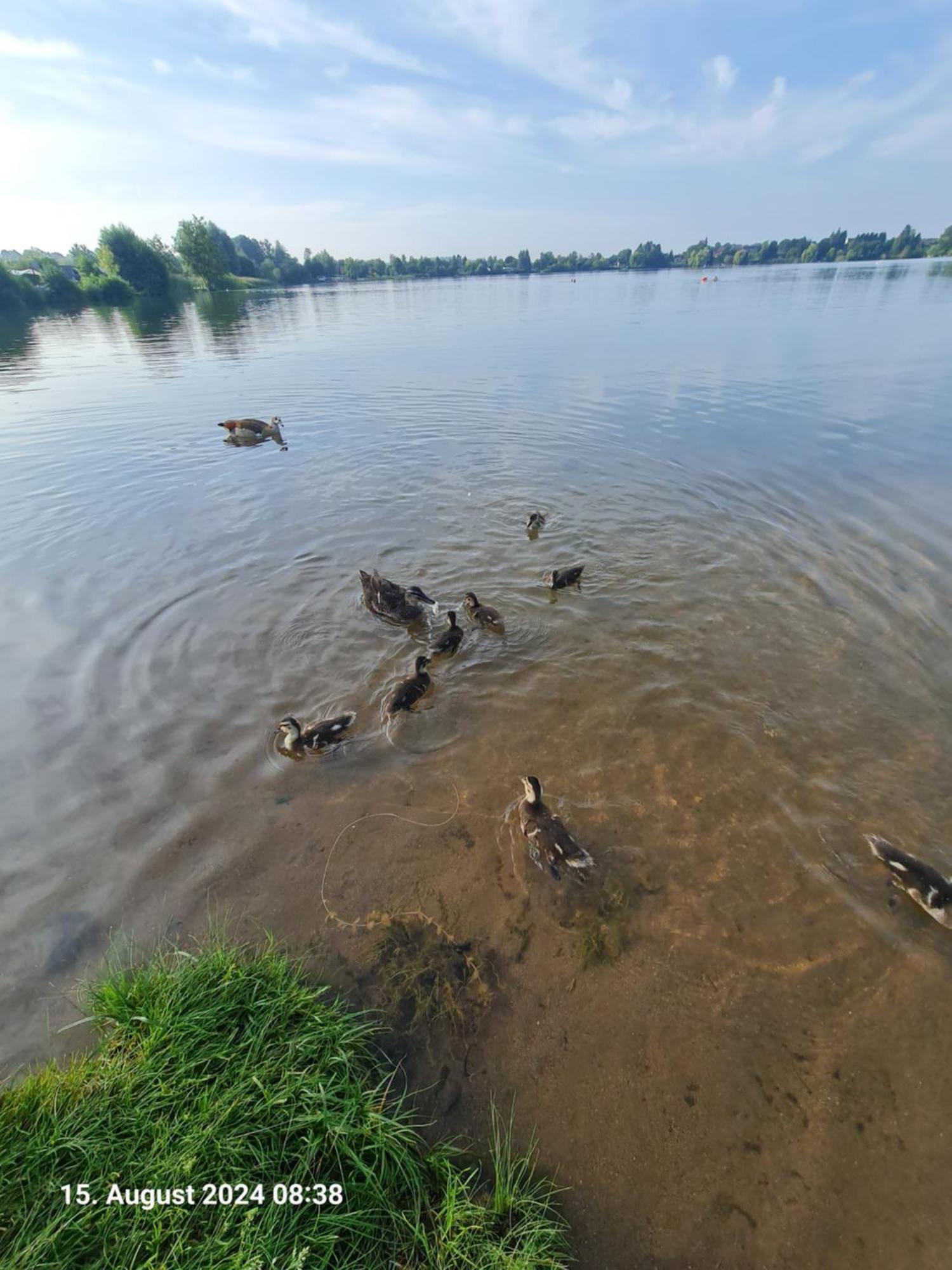 Ferienhaus Am See-2 Hungen المظهر الخارجي الصورة