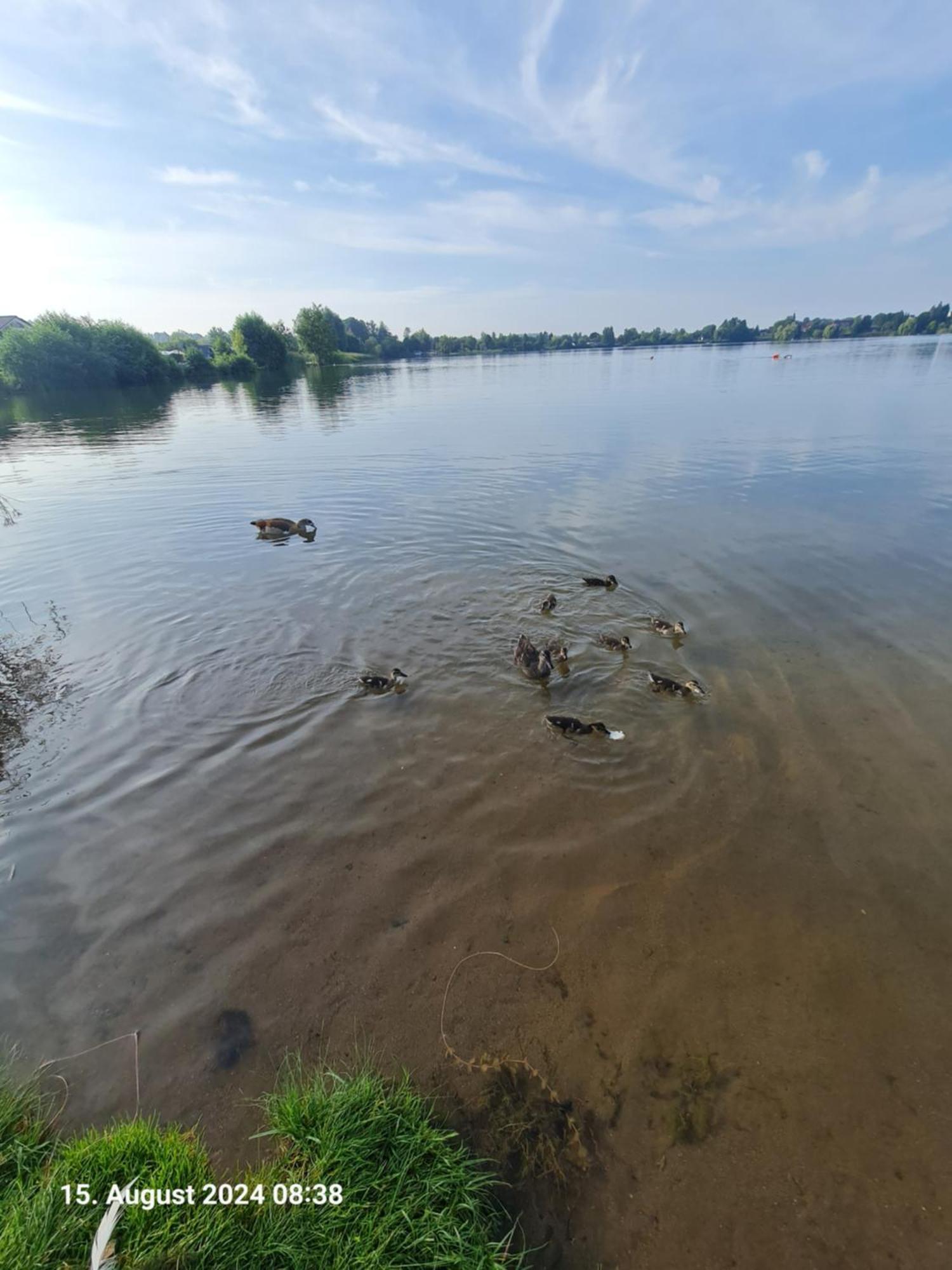 Ferienhaus Am See-2 Hungen المظهر الخارجي الصورة