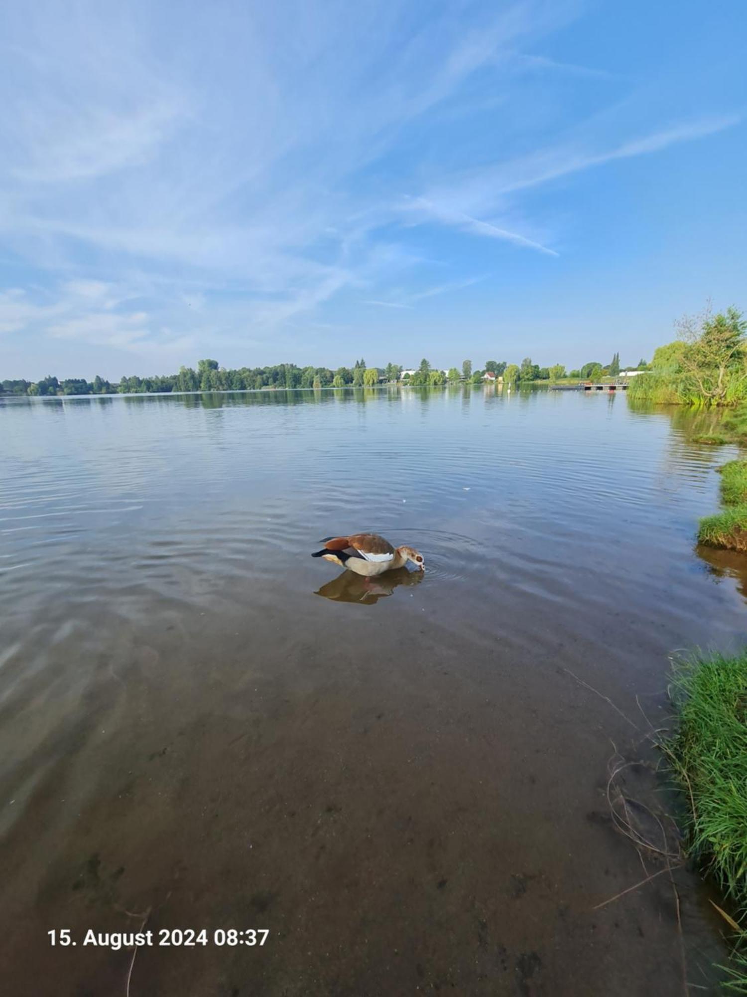 Ferienhaus Am See-2 Hungen المظهر الخارجي الصورة